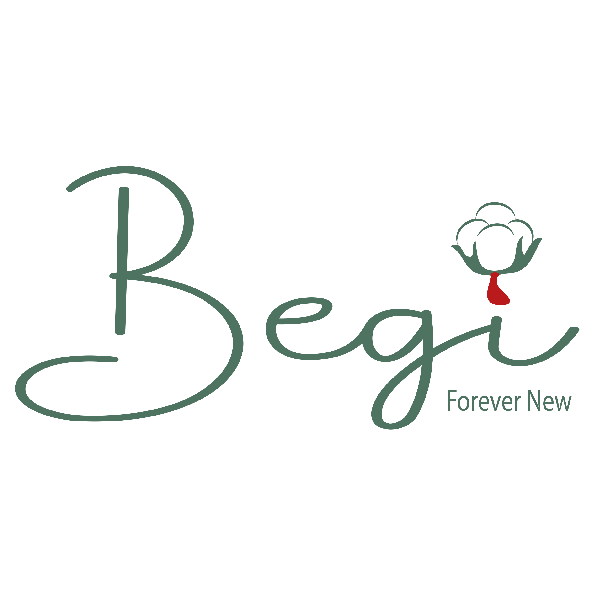 Begi